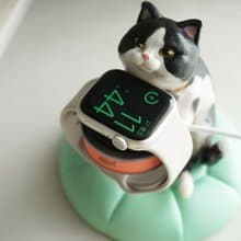 Apple Watch 療癒寵物充電座 / 香氛座 / 禮物推薦 手繪賓士貓