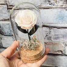 小王子的玫瑰  特別的你 永生花 玻璃花盅
