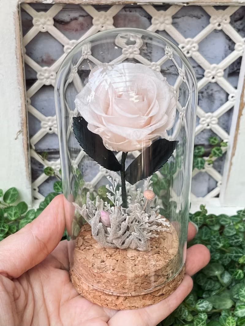 小王子的玫瑰  特別的你 永生花 玻璃花盅