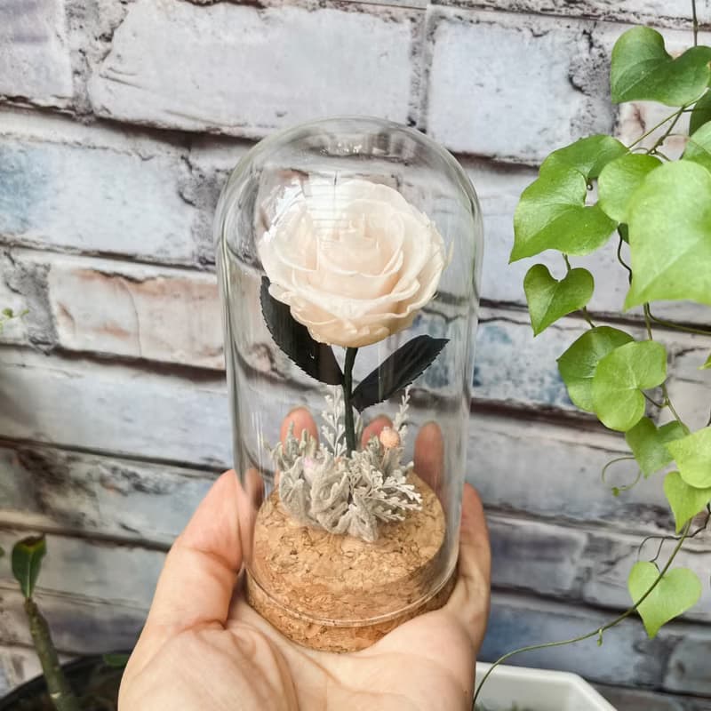 小王子的玫瑰  特別的你 永生花 玻璃花盅