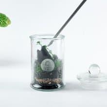 植炭生態瓶 | 迷你款 DIY材料包 含教學影片  送禮/畢業/療癒