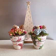 多肉植物聖誕盆栽 共2款。手工仿真黏土多肉植物