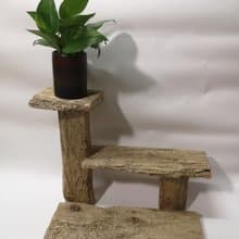 -蛀蛀洞- 花架 花座 展示架 盆栽架 多肉植物 書架
