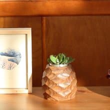 【鳳梨造型盆器】樸實原木 多肉盆器(不含植物)  | 蒔光