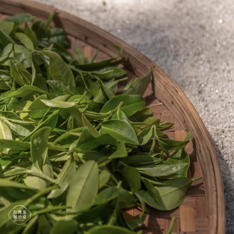 【茶米茶禮盒】品味獨特台茶的發酵與烘焙(綠茶/中焙烏龍/蜜香紅)