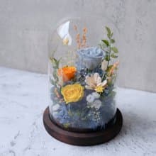 玻璃鐘罩/藍色/橘色/不凋花/永生花/乾燥花