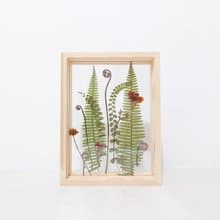 【押花相框】真花壓花 蕨 熱帶植物 禮物 室內擺設/ A5