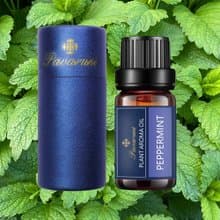 Pavaruni美國原創薄荷香薰精油禮盒40種擴香油性香氛植物精油
