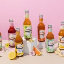 Zestea康普茶一次喝到全口味組 300ML*12瓶(無添加、富含益生菌)