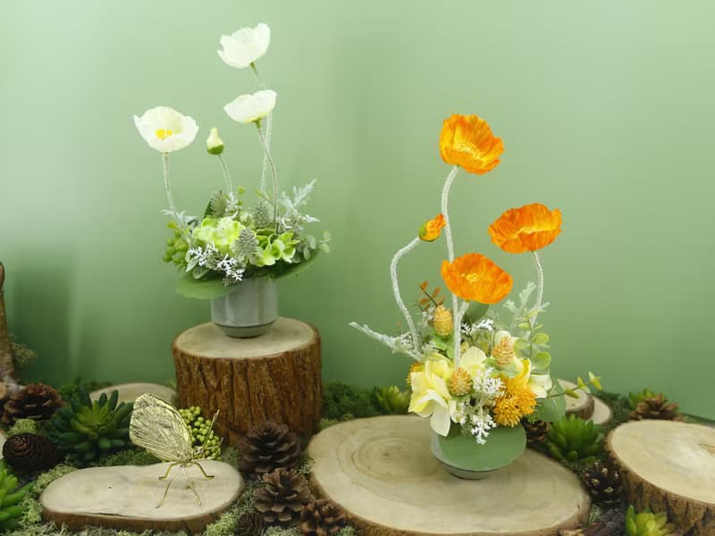 恆久祝福橘美人香氛花禮/入厝禮/開幕/喬遷/送禮/植栽