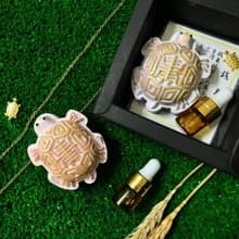 金錢龜來-招財龜壽龜擴香石|手工皂 招財開運金錢龜 含香氛