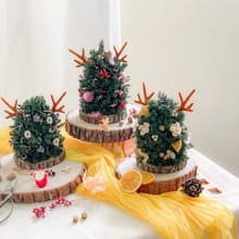 鹿角聖誕樹 x 不凋雪松乾燥花聖誕樹