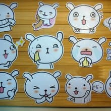 Bucute/行李箱防水PVC貼紙/整組12張(小)