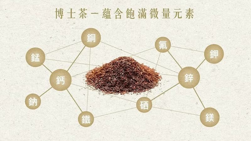 科伊桑【經典元氣組】紅博士茶/綠博士茶