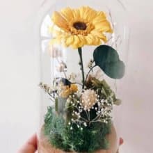 梵谷瓶中花園 畢業禮物 向日葵 非洲菊