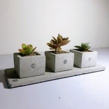 【野草不野】開店新居、祝賀花禮 - 三立方 / 方盆三連組含墊