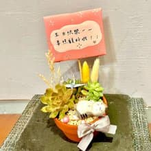 台中多肉組盆 多肉植物 日式枯山水 放鬆 貓咪 療癒盆栽 生日禮物