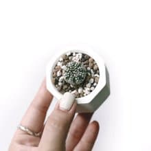 (現貨) 白灰漸層系列 | 超兜 小八角形水泥多肉植栽