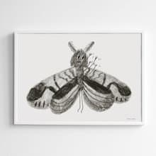 Karin Cyrén  - 瑞典藝術家設計海報 BUTTERFLY POSTER