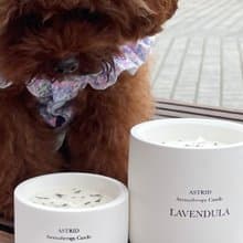(寵物友善)薰衣草與貓薄荷天然精油 大豆蠟及蜂蠟燭230g 禮物首選
