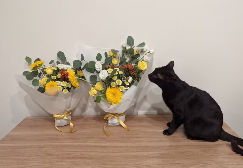 鮮花花束-暖陽初秋