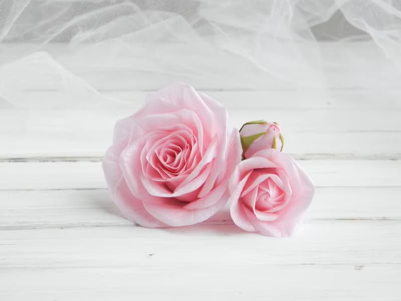 Light pink flowers hair pins Floral wedding hair piece Bridal floral headpiece