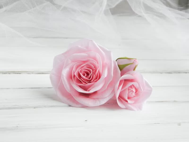 Light pink flowers hair pins Floral wedding hair piece Bridal floral headpiece