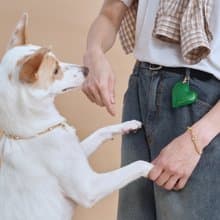 【禮物推薦】環境友善多功能 寵物吊飾 誕生石