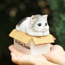 デバリエ ca238【正規品】猫の置物 サバトラ 小物入れ レジン製 ギフト 最適なプレゼント