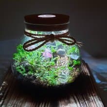 【苔療癒】生態瓶DIY材料包/母親節禮物
