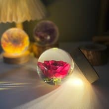 玫瑰花樹脂標本禮物