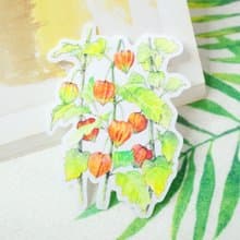 酸漿 繪畫防水PVC白墨底大貼紙