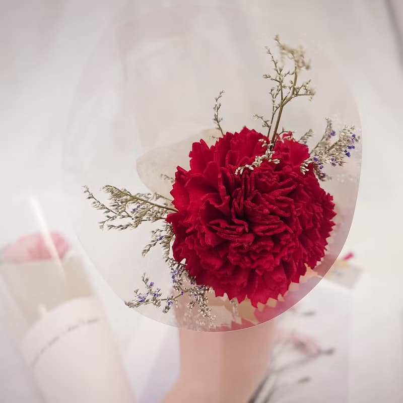 香氛索拉康乃馨單隻花束 /母親節花束/永生花/乾燥花束/花束