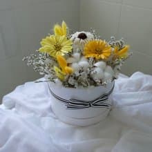 圓餅乾燥花禮盒/盆花 - 黃色款