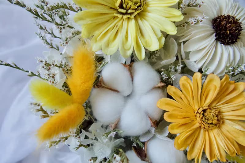 圓餅乾燥花禮盒/盆花 - 黃色款