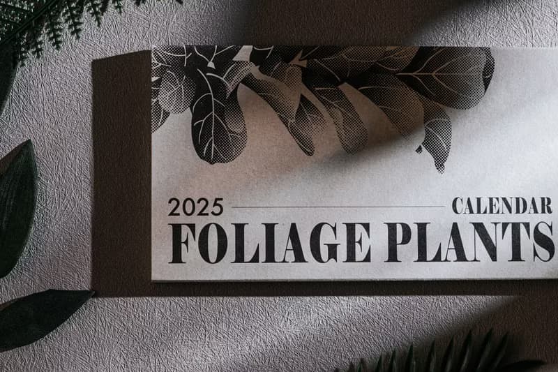 2025觀葉植物桌曆 2025 Calendar Foliage Plants