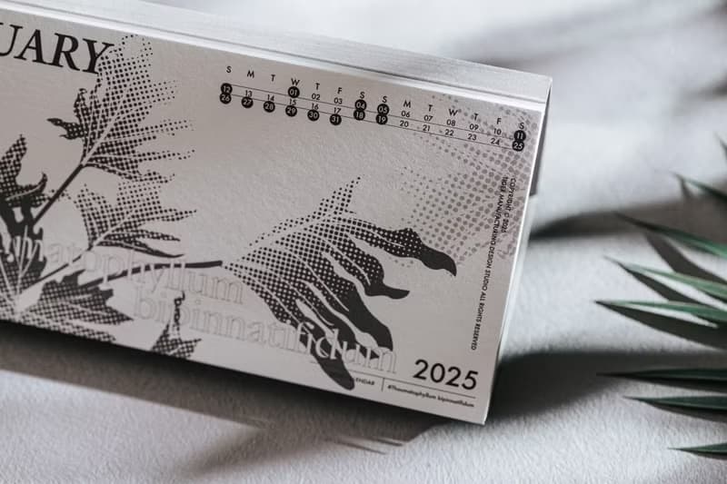 2025觀葉植物桌曆 2025 Calendar Foliage Plants