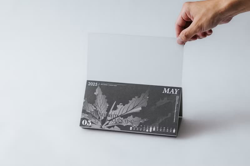 2025觀葉植物桌曆 2025 Calendar Foliage Plants