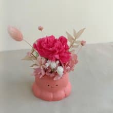 療癒草尼馬永生康乃馨盆花  生日企業贈品課程七夕情人節花束中秋