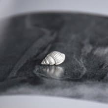 原創手作 海螺貝殼海洋生物織紋螺純銀耳釘 一對