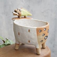 Plant pot with a crocodile ,lithops,cactus,ceramics,pottery,handmade