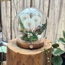蒲公英之盅  夜燈 夢幻蒲公英 畢業禮物 新居 謝師禮