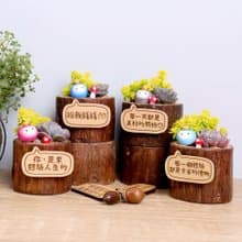 現貨-元寶小豆苗(附字牌)多肉植物盆栽|生日離職升職兒童情人禮物