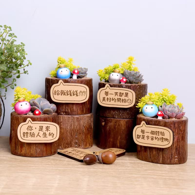 現貨-元寶小豆苗(附字牌)多肉植物盆栽|生日離職升職兒童情人禮物