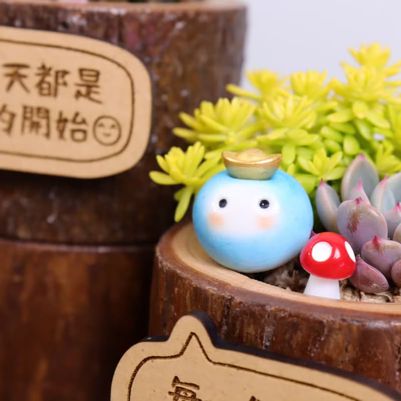 現貨-元寶小豆苗(附字牌)多肉植物盆栽|生日離職升職兒童情人禮物