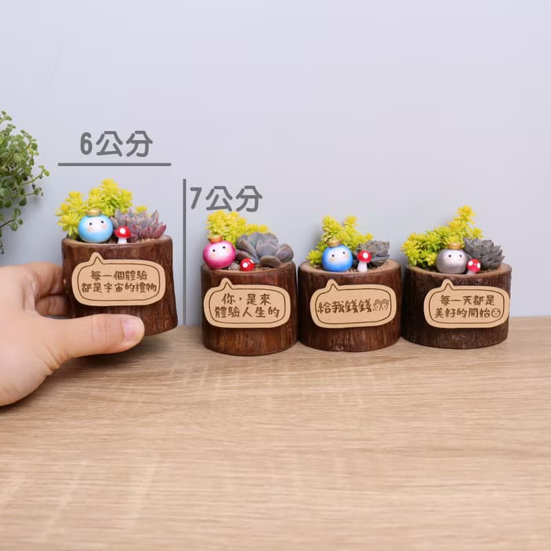 現貨-元寶小豆苗(附字牌)多肉植物盆栽|生日離職升職兒童情人禮物