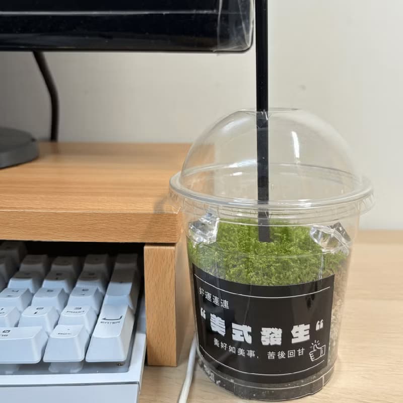 綠色拿鐵 | 給生活一點森呼吸 植物 苔蘚 植栽 綠植 擺飾