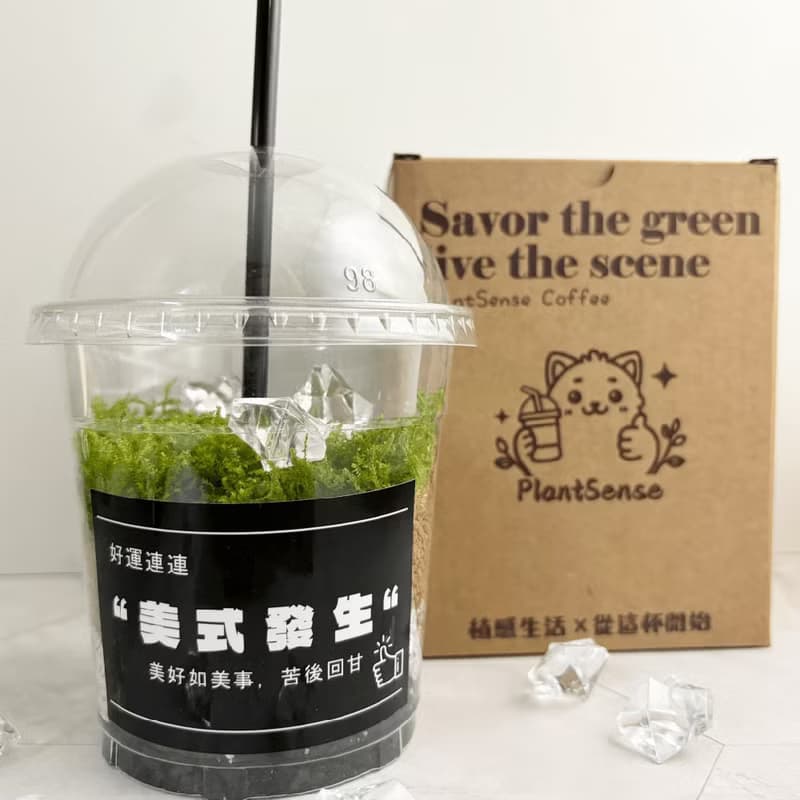 綠色拿鐵 | 給生活一點森呼吸 植物 苔蘚 植栽 綠植 擺飾