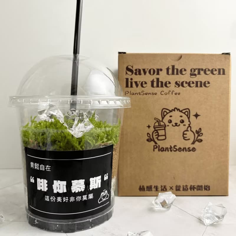 綠色拿鐵 | 給生活一點森呼吸 植物 苔蘚 植栽 綠植 擺飾