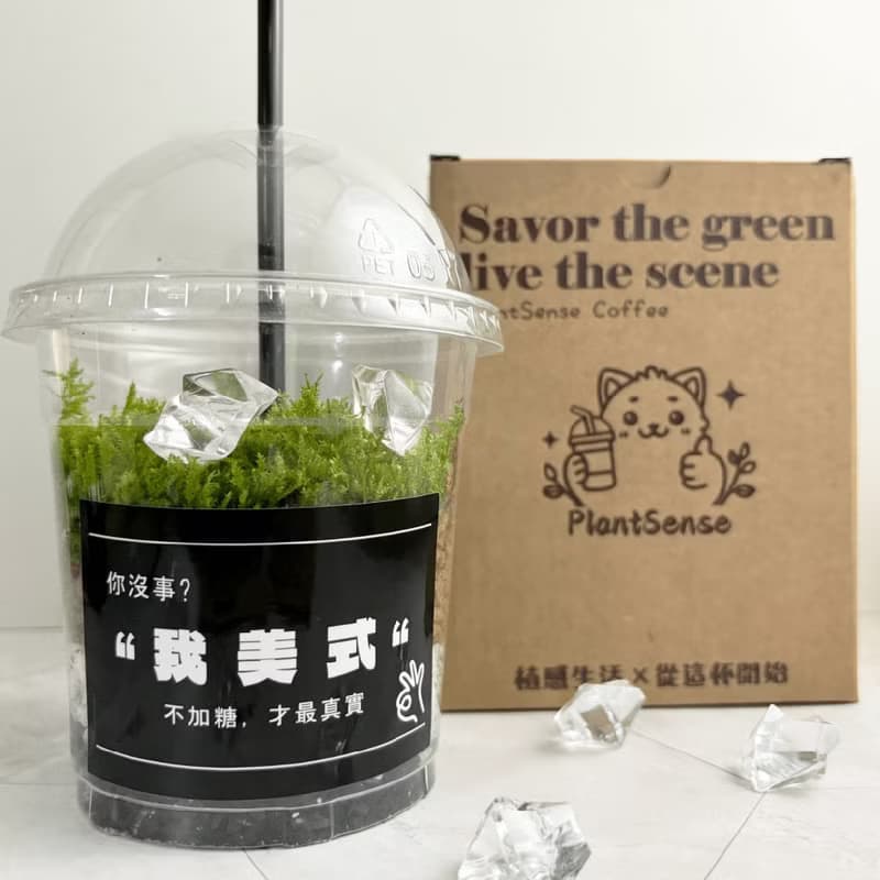 綠色拿鐵 | 給生活一點森呼吸 植物 苔蘚 植栽 綠植 擺飾